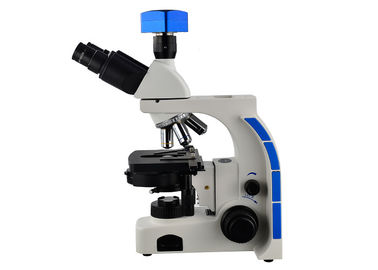 China Microscopio 40X - microscopio del contraste de la fase de Tinocular de la escuela secundaria 1000X proveedor