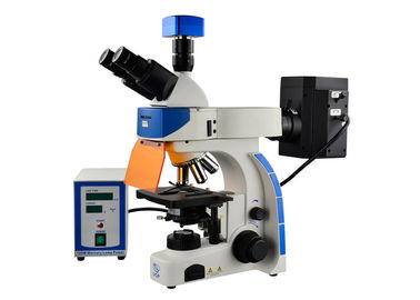 China Lámpara vertical profesional del microscopio de fluorescencia de Trinocular 100W Mercury proveedor