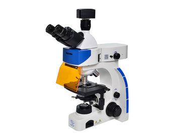 China Microscopio de fluorescencia vertical del LED Trinocular con B y el filtro de la fluorescencia de G proveedor