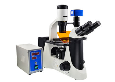 China Etapa mecánica conectable del microscopio vertical del filtro de V/UV y del microscopio invertido proveedor