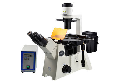 China Microscopio vertical e invertido del filtro óptico invertido DSY5000X del microscopio B/G/V/UV proveedor