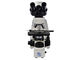 microscopio óptico de 100X 3W LED Digital con 5 millones de cámaras del pixel proveedor