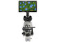 9,7 objetivo del microscopio 100X del LCD Digital de la pulgada con 5 millones de cámaras del pixel proveedor