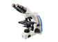 Microscopio óptico compuesto avanzado binocular para el laboratorio biológico proveedor