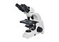 negro blanco de la ampliación del microscopio biológico 40-1000X del laboratorio de 6V 20W proveedor