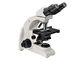 Microscopio biológico binocular 4X - 100X de la función multi con objetivos del plan proveedor
