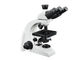 Microscopio biológico del laboratorio de Trinocular/microscopio óptico del laboratorio proveedor