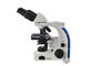 microscopio ligero binocular del microscopio biológico del laboratorio 100X con las luces LED de 3W proveedor
