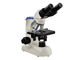 microscopio biológico del laboratorio de los prismáticos 100X para la escuela primaria proveedor