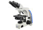 El microscopio más alto de la ampliación del microscopio binocular profesional de Uop proveedor