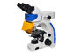 Microscopio de fluorescencia vertical de UOP, microscopia de fluorescencia de alta resolución proveedor