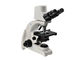 microscopio biológico de Digitaces de la cámara digital óptica del microscopio 5MP de 1000X Digitaces proveedor