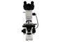 Ampliación binocular del microscopio metalúrgico 50X-500X ligera reflejado de la microscopia proveedor