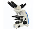 Uso multi de la educación escolar del microscopio 10x 40x 100x de la visión de UOP204i proveedor