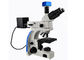 Microscopio de fluorescencia vertical de la luz transmitida UMT203i para los laboratorios forenses proveedor