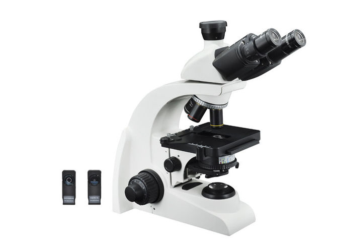 Microscopio ligero 40X - del contraste biológico de la fase ampliación 1000X
