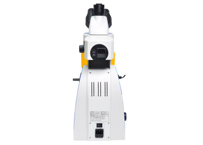 Microscopio de fluorescencia vertical del LED Trinocular con B y el filtro de la fluorescencia de G