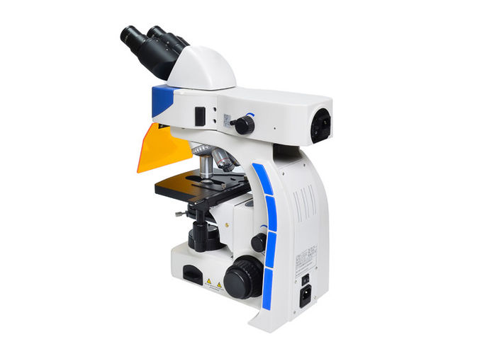 Microscopio de fluorescencia vertical de UY202i-LED con el filtro ULTRAVIOLETA y de V de la fluorescencia